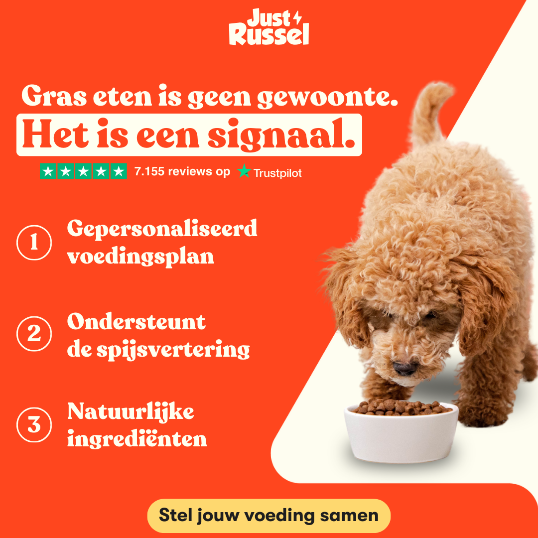 Advertentie van Just Russel voor Adwave